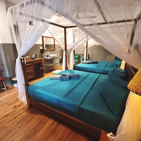 The Jungle View Hotel Mirissa Room photo