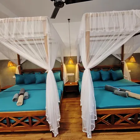 The Jungle View Hotel Mirissa Room photo